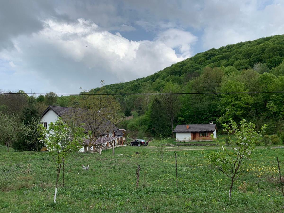 Holiday Home Usadba Novoselitsa Novoselitsa (Zakarpattia) Exterior foto
